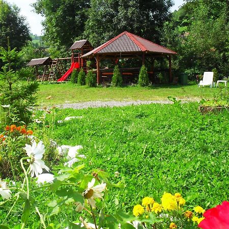 Vila Doina Branului Bran  Dış mekan fotoğraf