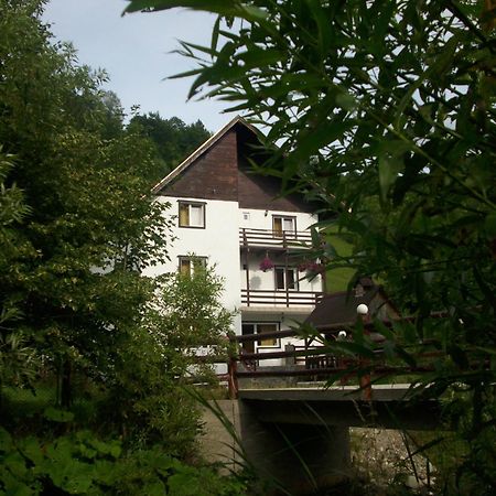 Vila Doina Branului Bran  Dış mekan fotoğraf