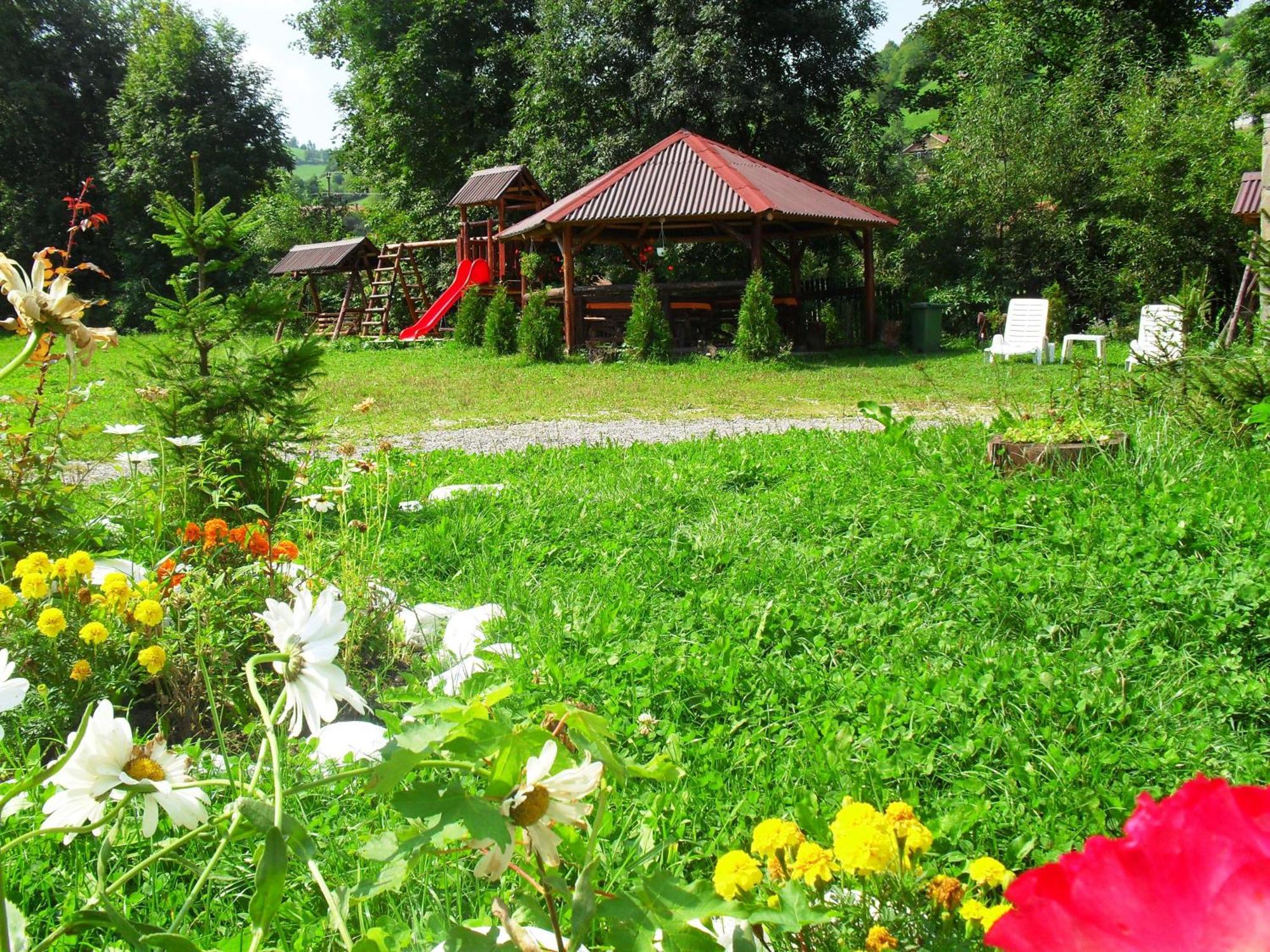 Vila Doina Branului Bran  Dış mekan fotoğraf