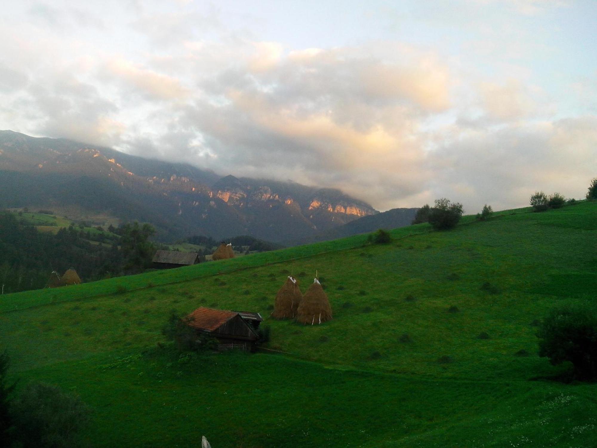 Vila Doina Branului Bran  Dış mekan fotoğraf