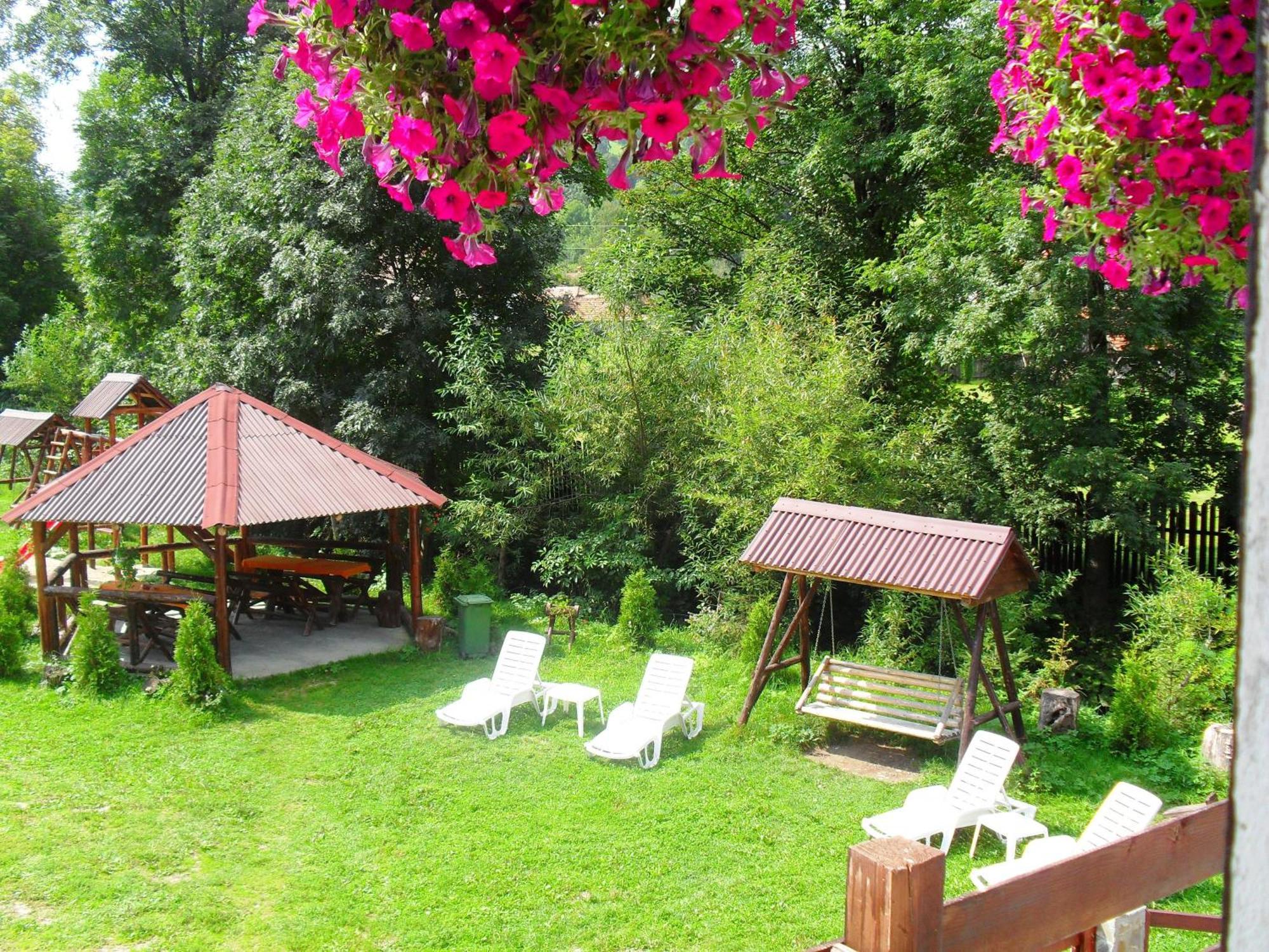 Vila Doina Branului Bran  Dış mekan fotoğraf