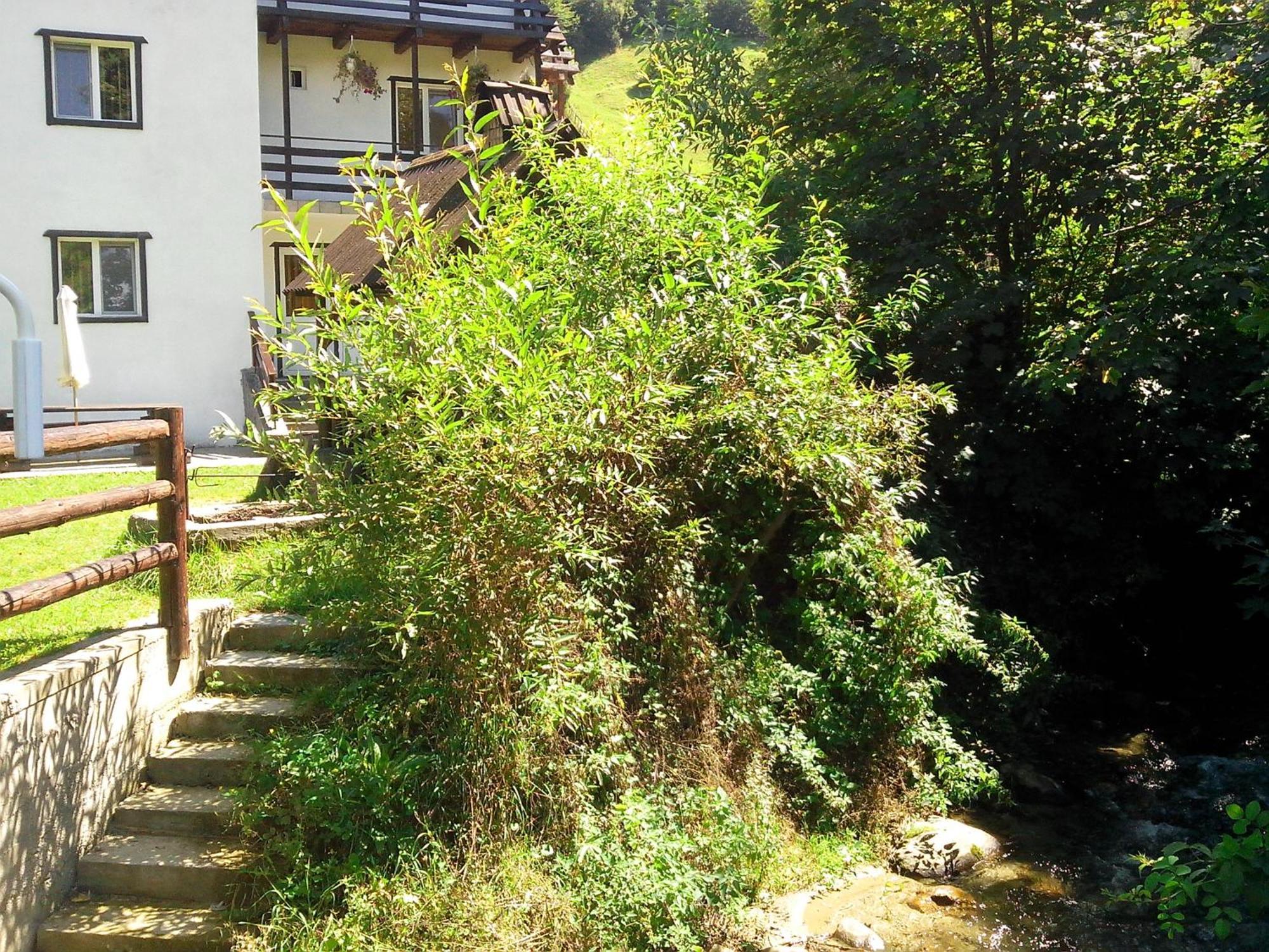 Vila Doina Branului Bran  Dış mekan fotoğraf