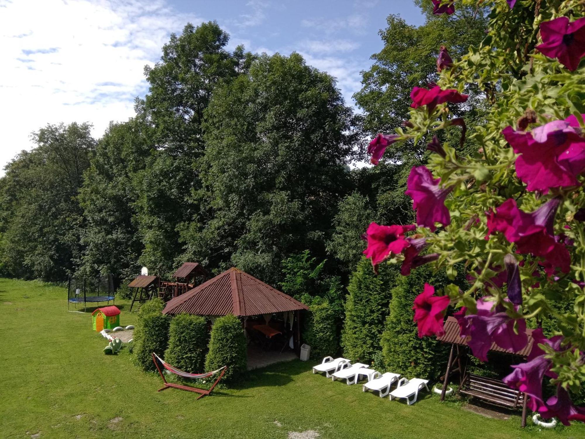 Vila Doina Branului Bran  Dış mekan fotoğraf