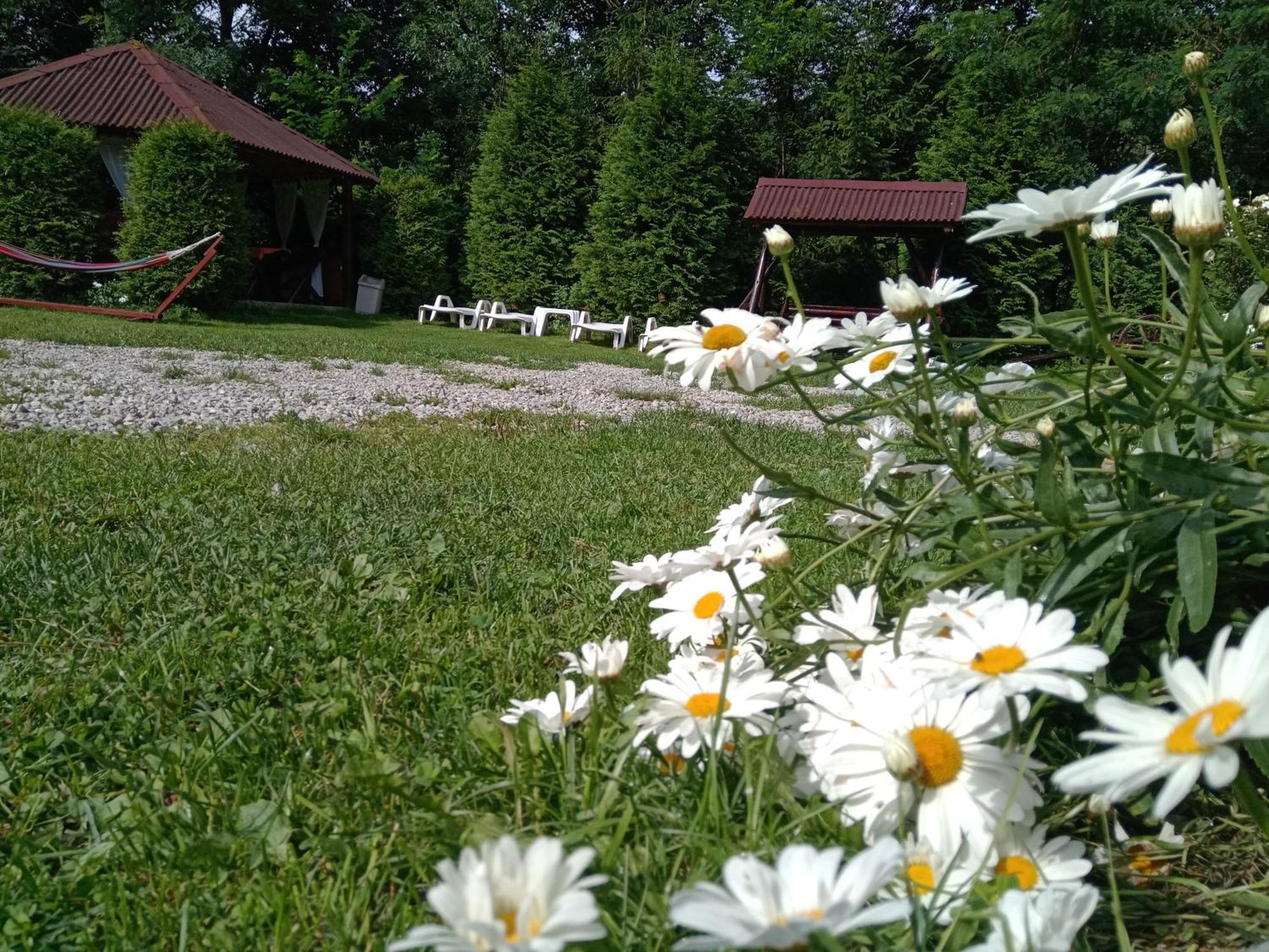 Vila Doina Branului Bran  Dış mekan fotoğraf
